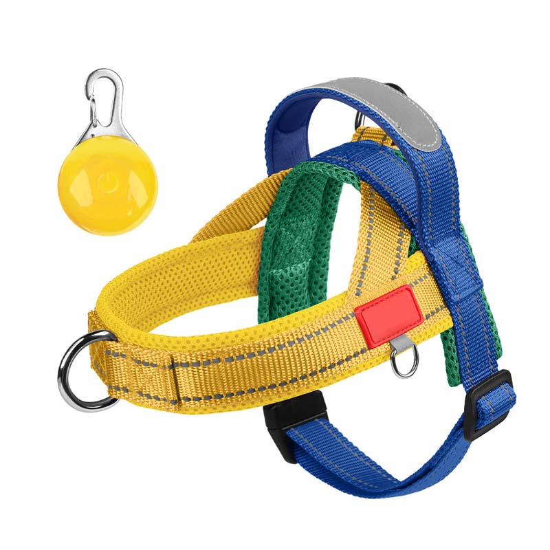 đŸ Premium sadelsele för husdjur â Komfort, kontroll och sĂ€kerhet i varje steg