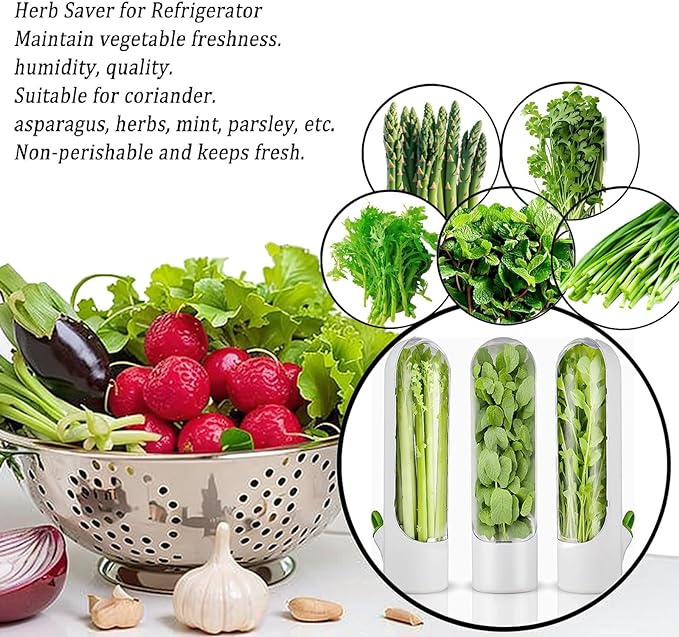 Vegetable Preservation Cup