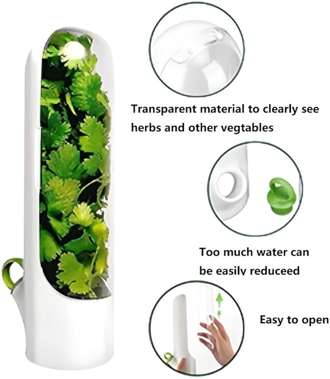 Vegetable Preservation Cup