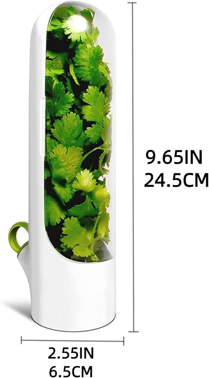 Vegetable Preservation Cup