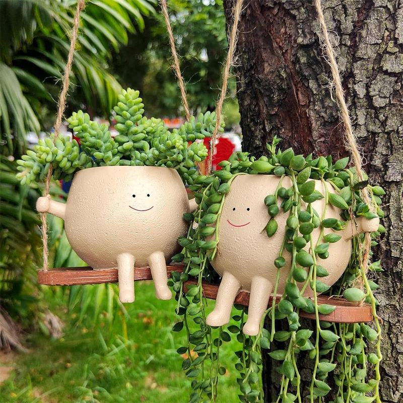 Suckulenta blomkruka Söt leende ansikte Swing blomkruka