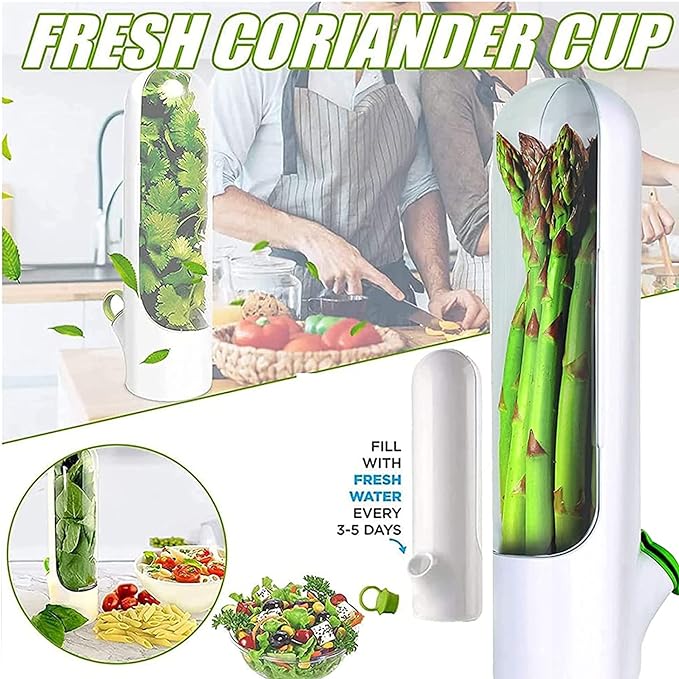 Vegetable Preservation Cup