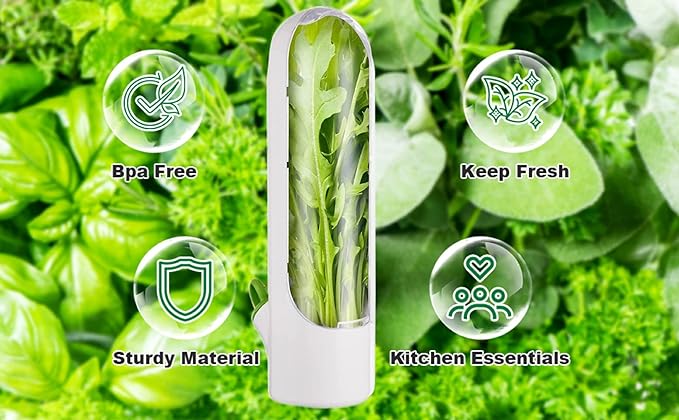 Vegetable Preservation Cup