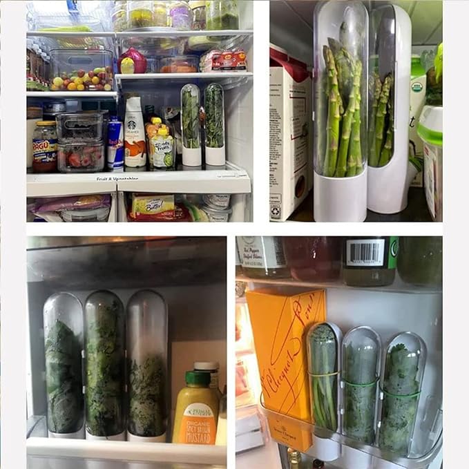 Vegetable Preservation Cup