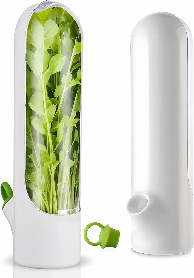 Vegetable Preservation Cup