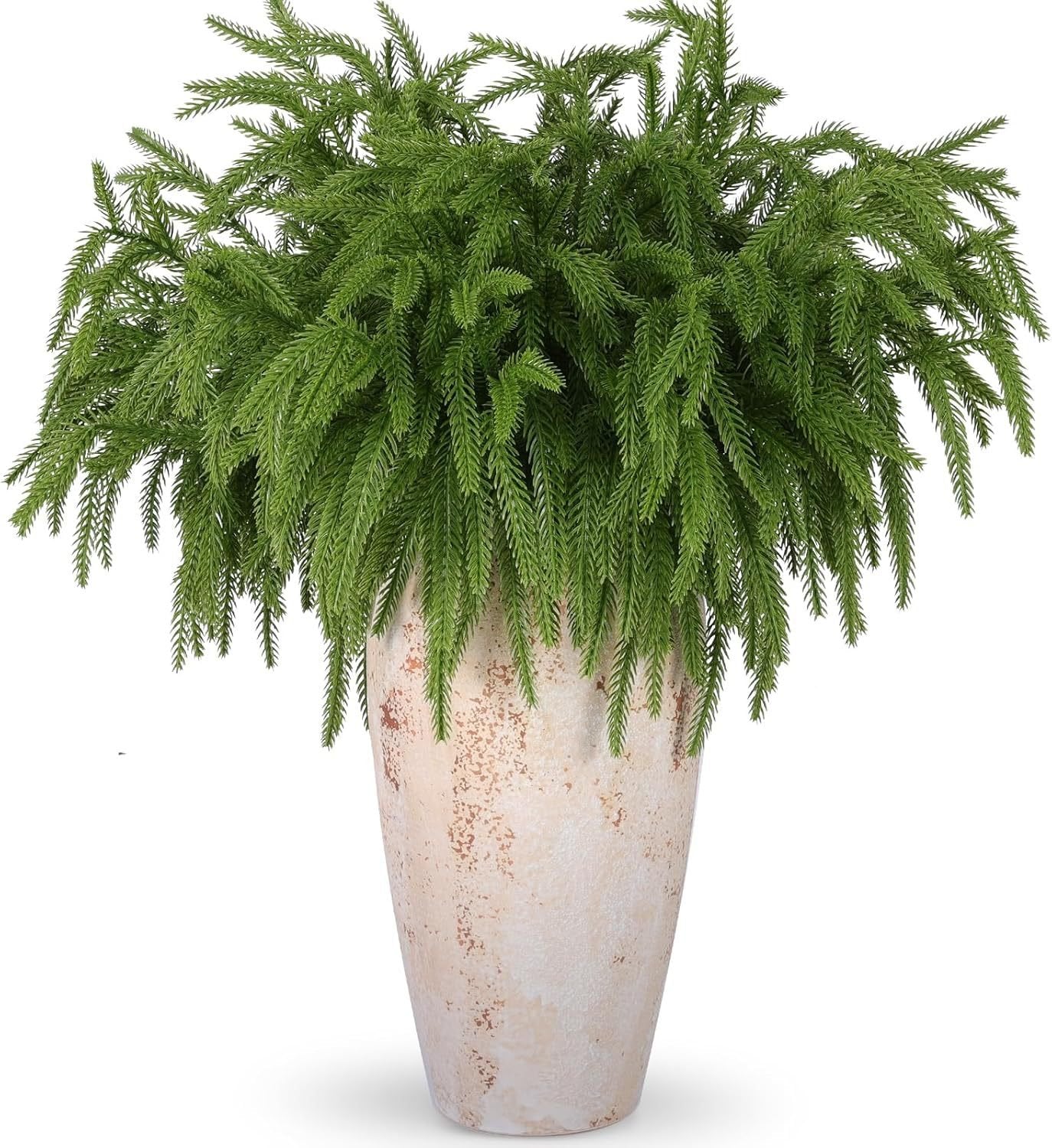 đVacker julspecial 49%đNorfolk Pine Branch