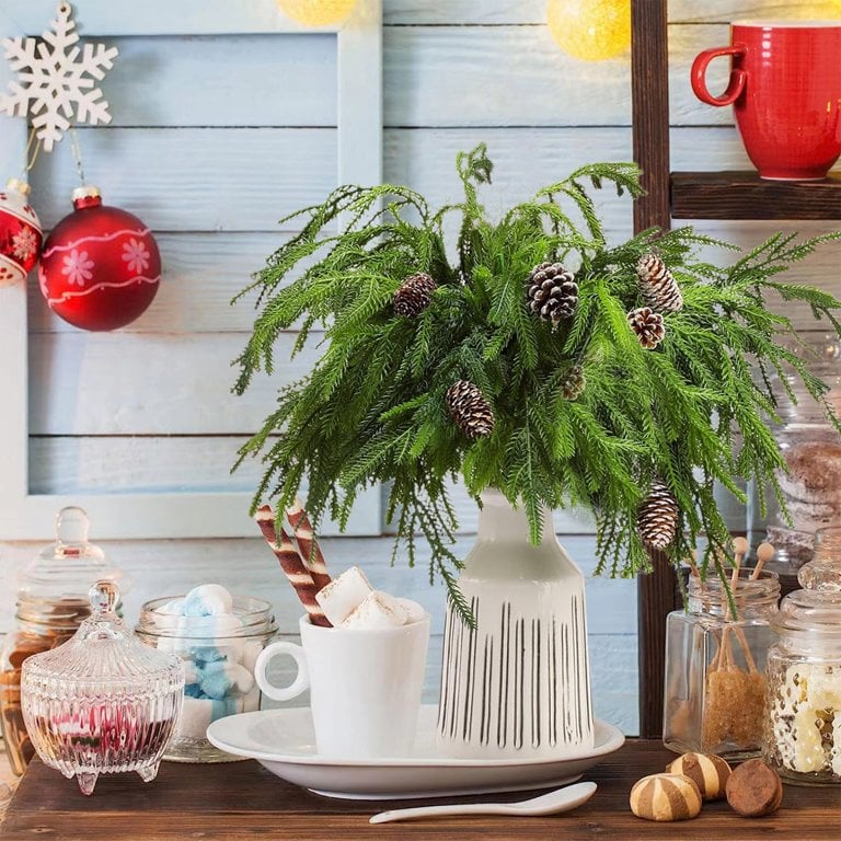 đVacker julspecial 49%đNorfolk Pine Branch