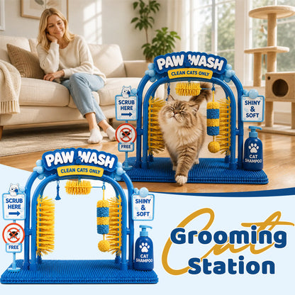 Cat Combing Station