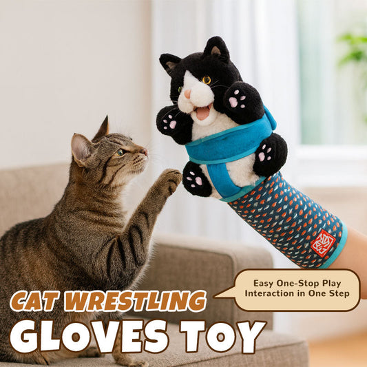 🥊 【Människa mot katt】Interaktiva brottningshandskar med kattmotiv 🐱✨