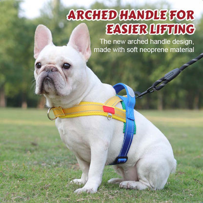 🐾 Premium sadelsele för husdjur – Komfort, kontroll och säkerhet i varje steg