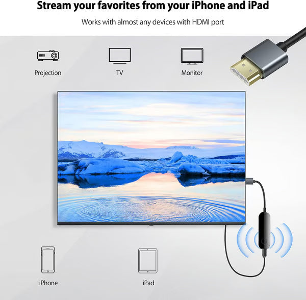 iShare iOS trådlös HDMI-skärmadapte