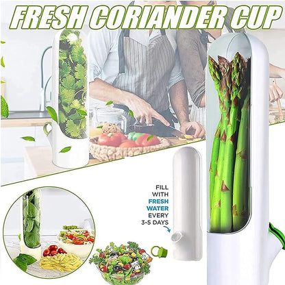 Vegetable Preservation Cup
