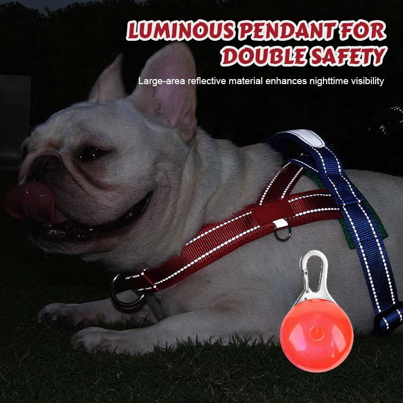 🐾 Premium sadelsele för husdjur – Komfort, kontroll och säkerhet i varje steg