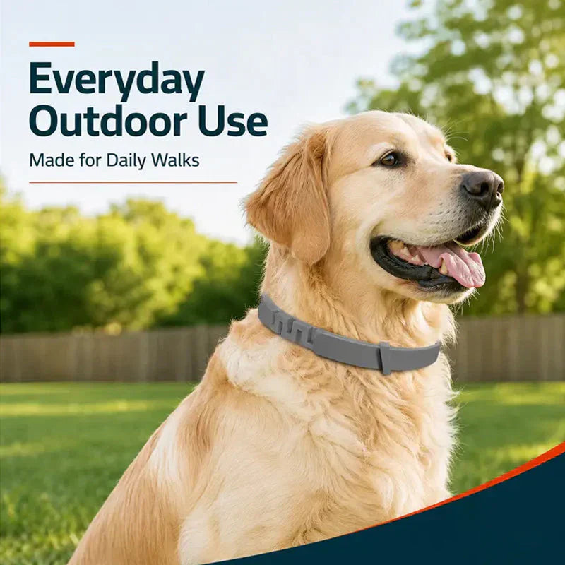 🐾 2026 Sale — Over 40,000 Sold!🛡️ Pet Flea & Tick Collar – Weatherproof & Adjustable 🌿