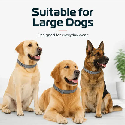🐾 2026 Sale — Over 40,000 Sold!🛡️ Pet Flea & Tick Collar – Weatherproof & Adjustable 🌿