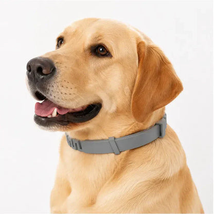 🐾 2026 Sale — Over 40,000 Sold!🛡️ Pet Flea & Tick Collar – Weatherproof & Adjustable 🌿