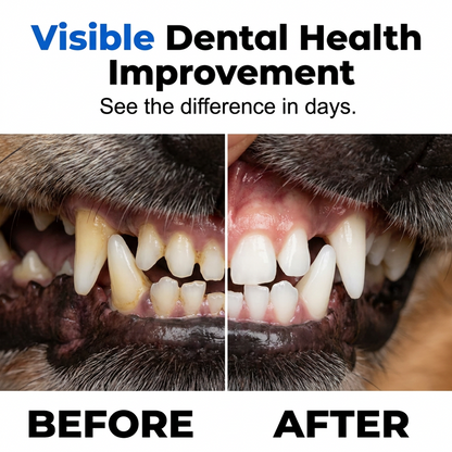 🎉 2026 Sale — Over 52,000 Sold! 🐶 No-Brush Pet Dental Spray – Instant Fresh Breath & Plaque Control 🐱