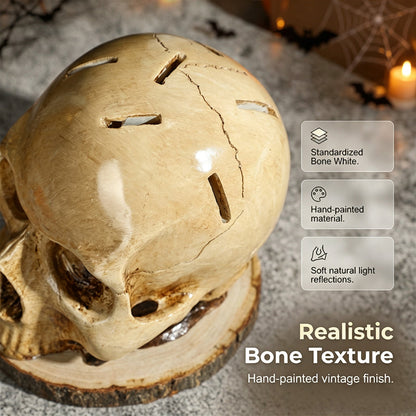 🎉 2026 Sale — Over 71,000 Sold!💞 Funny Skull Knife Holder for Kitchen Storage – Spooky & Functional 💀