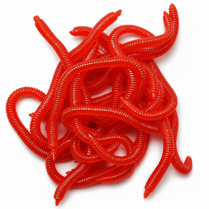 🎣 LIMITED-TIME 50% OFF! ✨ Simulation Earthworm Soft Fishing Lures – Scented, Lifelike, Durable 🌊